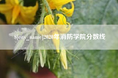 云南2020年消防学院分数线