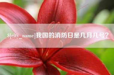 云南我国的消防日是几月几号？