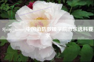 云南中国消防救援学院山东选科要求