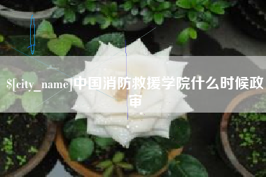 云南中国消防救援学院什么时候政审
