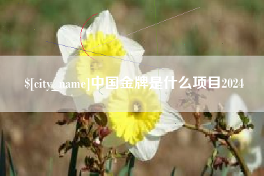 云南中国金牌是什么项目2024