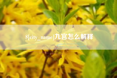 云南九宫怎么解释
