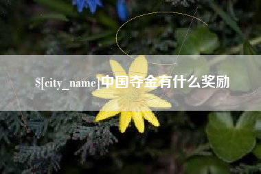 云南中国夺金有什么奖励