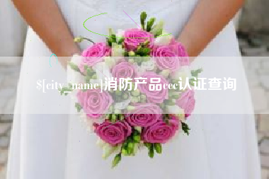 云南消防产品ccc认证查询