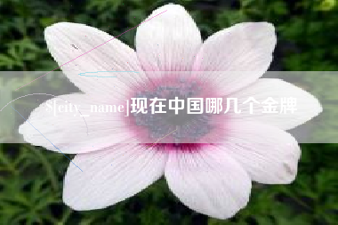 云南现在中国哪几个金牌
