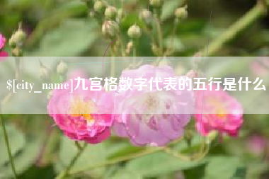 云南九宫格数字代表的五行是什么
