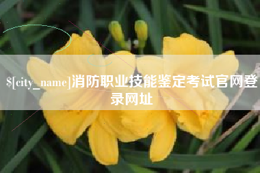 云南消防职业技能鉴定考试官网登录网址