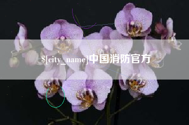 云南中国消防官方