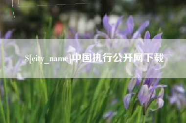 云南中国执行公开网下载