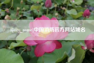 云南中国消防官方网站域名
