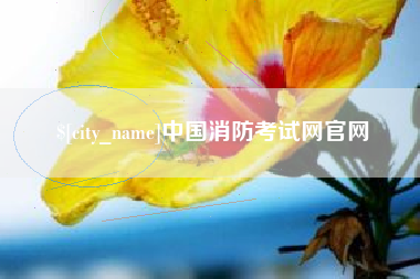 云南中国消防考试网官网