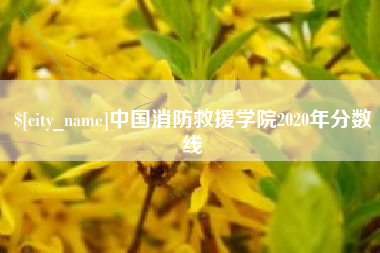 云南中国消防救援学院2020年分数线