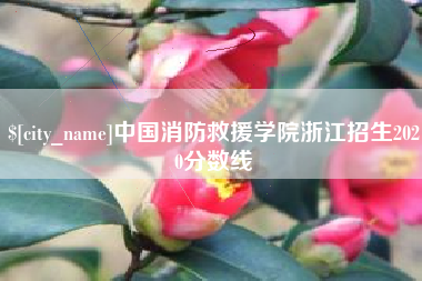 云南中国消防救援学院浙江招生2020分数线