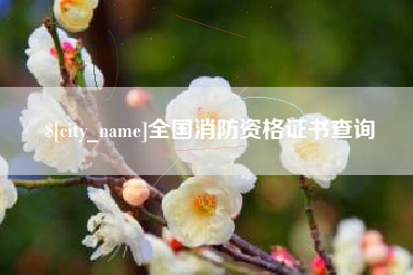 云南全国消防资格证书查询