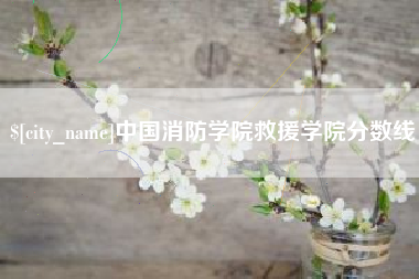 云南中国消防学院救援学院分数线