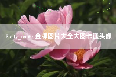 云南金牌图片大全大图卡通头像