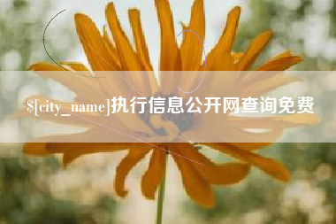 云南执行信息公开网查询免费