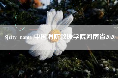 云南中国消防救援学院河南省2020